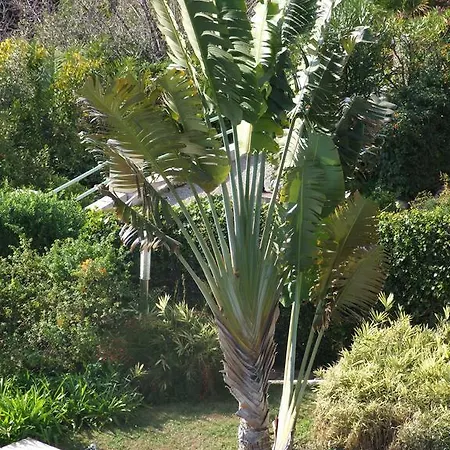 Au Chateau Vallaya * Menton