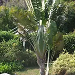 Au Chateau Vallaya * Menton