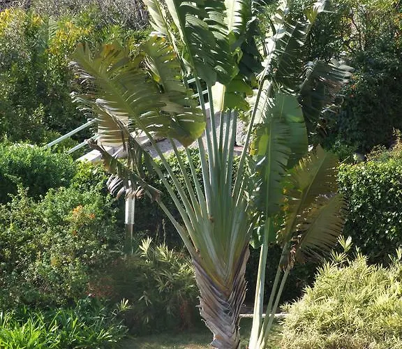 Au Chateau Vallaya * 芒通